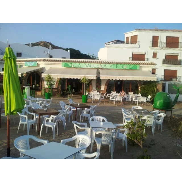 LA BALLENA VERDE