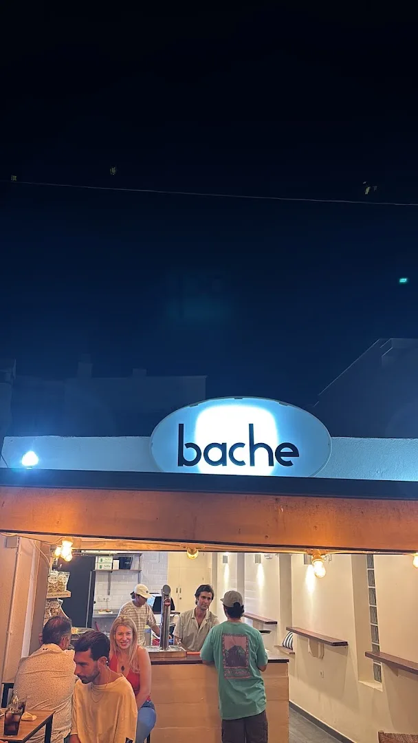 Bache Zahara